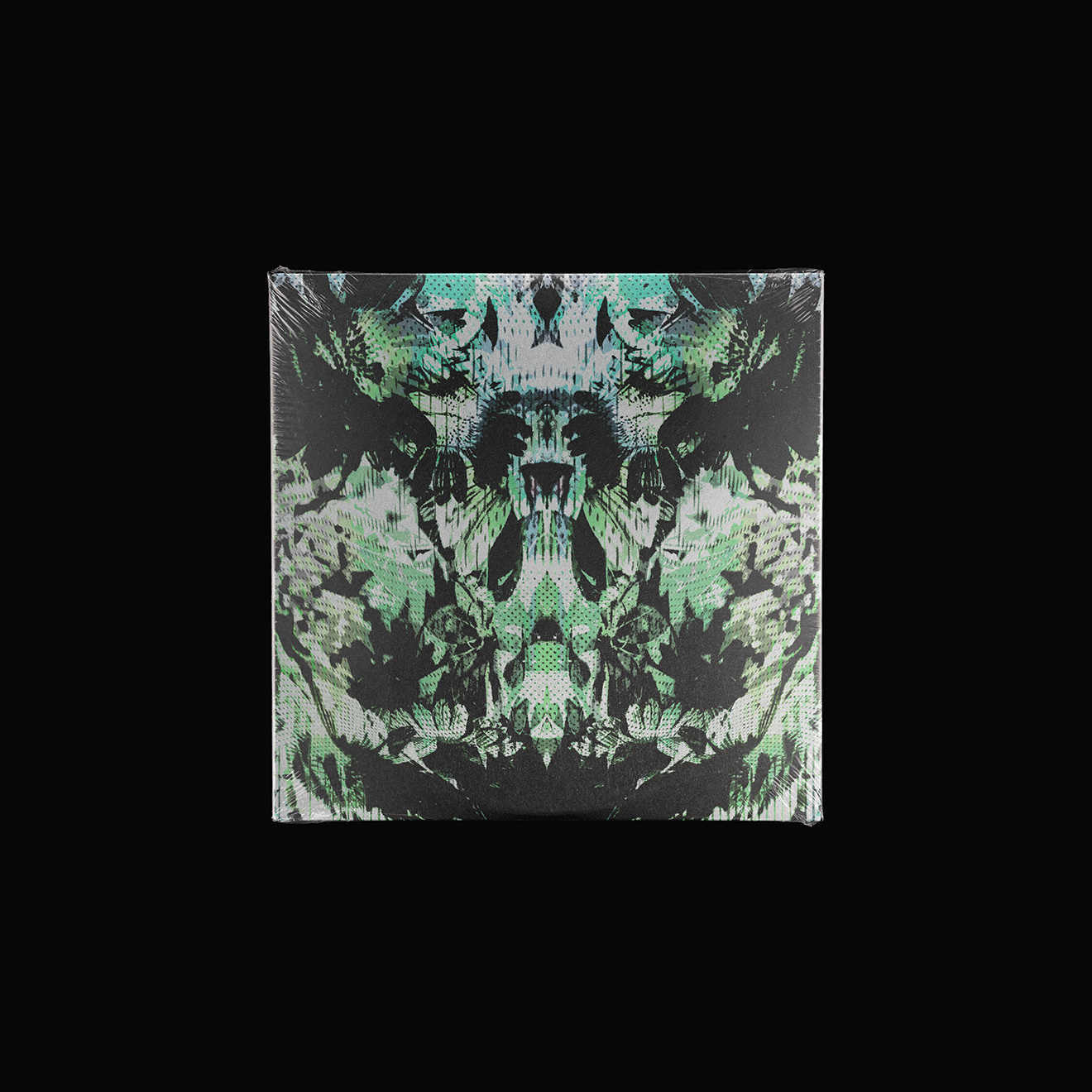 20241003-D
