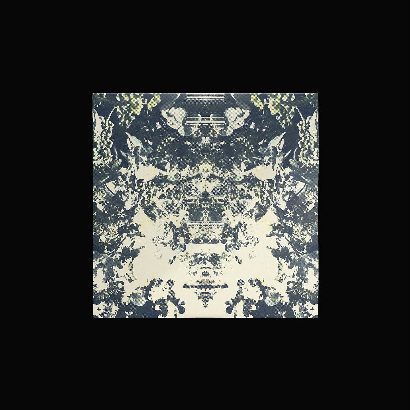 20241010-E2
