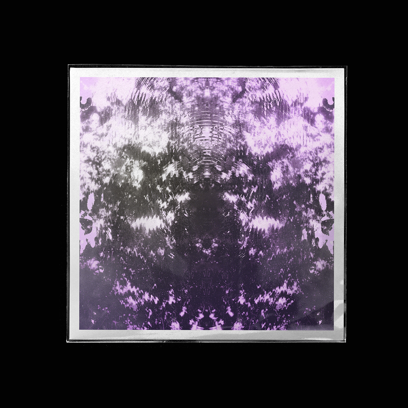 20241116-C2b