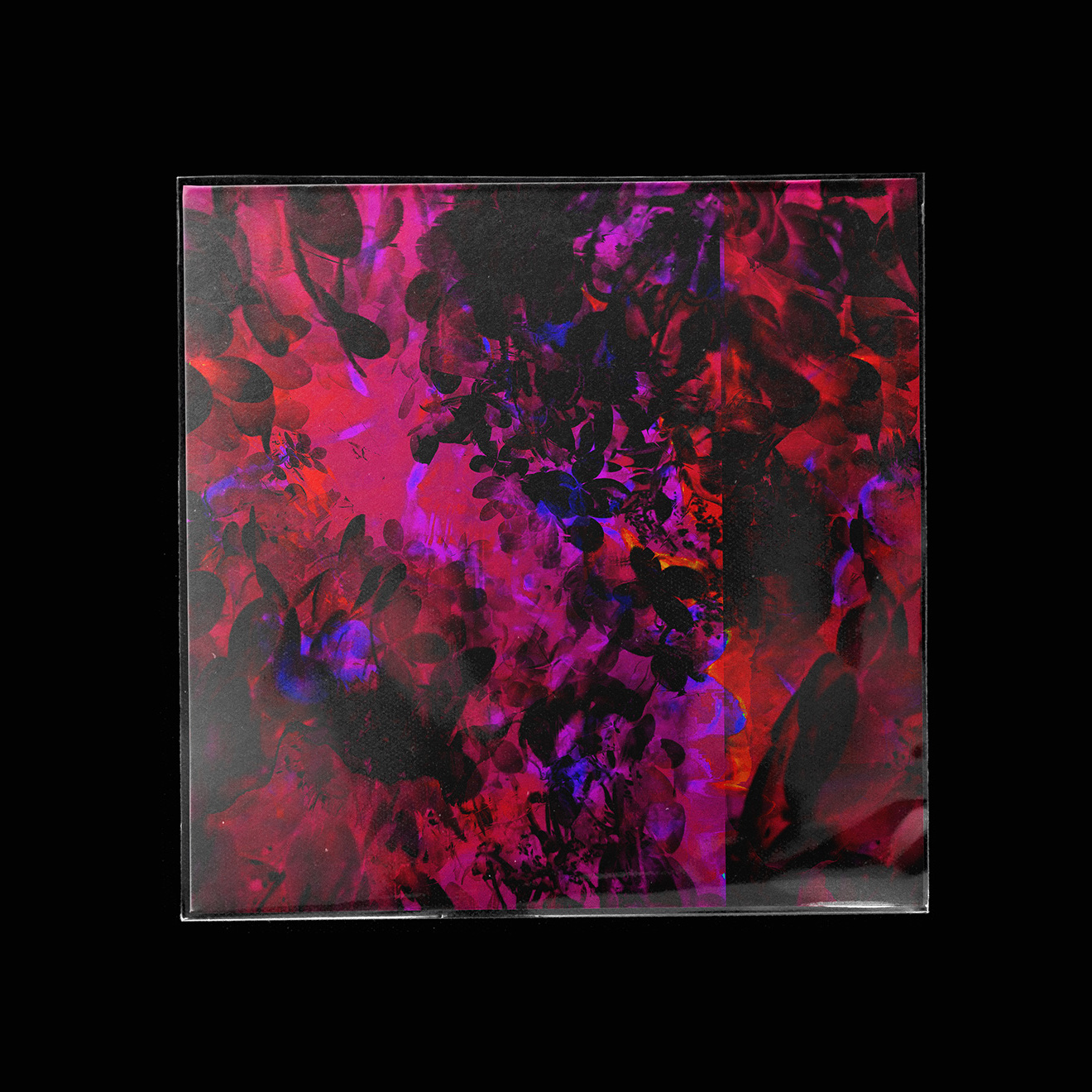 20241130-D