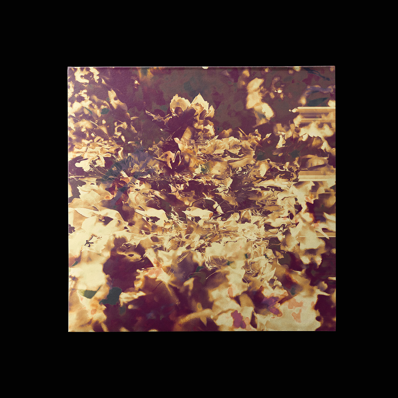 20250102-D1b