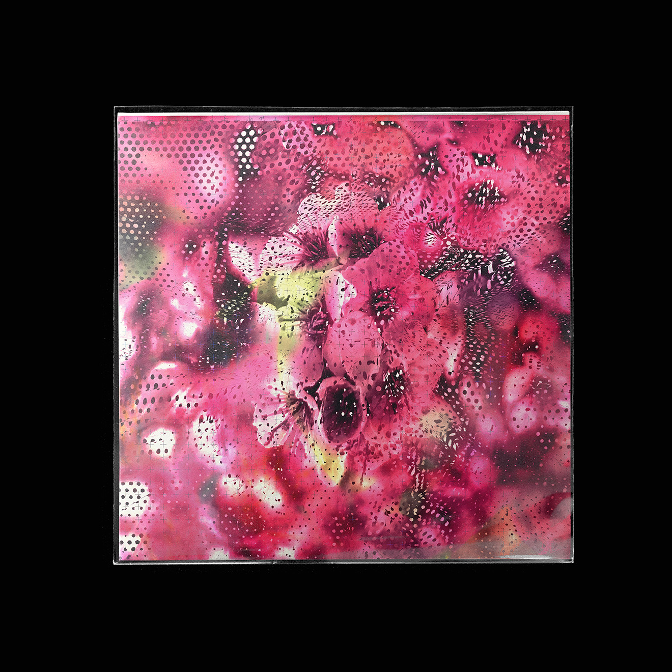 20250530-B2e4C